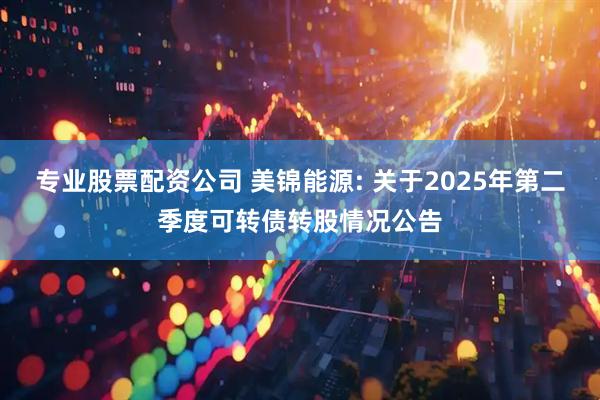专业股票配资公司 美锦能源: 关于2025年第二季度可转债转股情况公告
