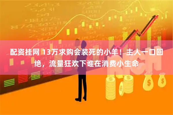 配资挂网 13万求购会装死的小羊！主人一口回绝，流量狂欢下谁在消费小生命